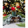 Tree Lights - Replica Surfaces