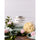 White Wood™ - Replica Surfaces