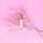 Cotton Candy™ - Replica Surfaces