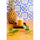 Cucina™ - Replica Surfaces