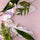 Peony Tile - Replica Surfaces