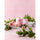 Peony Tile - Replica Surfaces