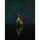 Gloss Black™ - Special Edition - Replica Surfaces