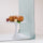 Seafoam™ - Replica Surfaces