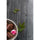 Weathered Wood™ - Replica Surfaces