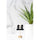 White Marble™ - Replica Surfaces