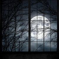 Eerie View - Replica Surfaces