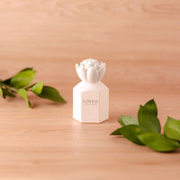 Beechwood | Scandinavian Wood (Double-Sided) - Replica Surfaces