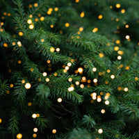 Lit Pine - Replica Surfaces