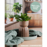 Morning Sill | Herbaceous (Double-Sided) - Replica Surfaces