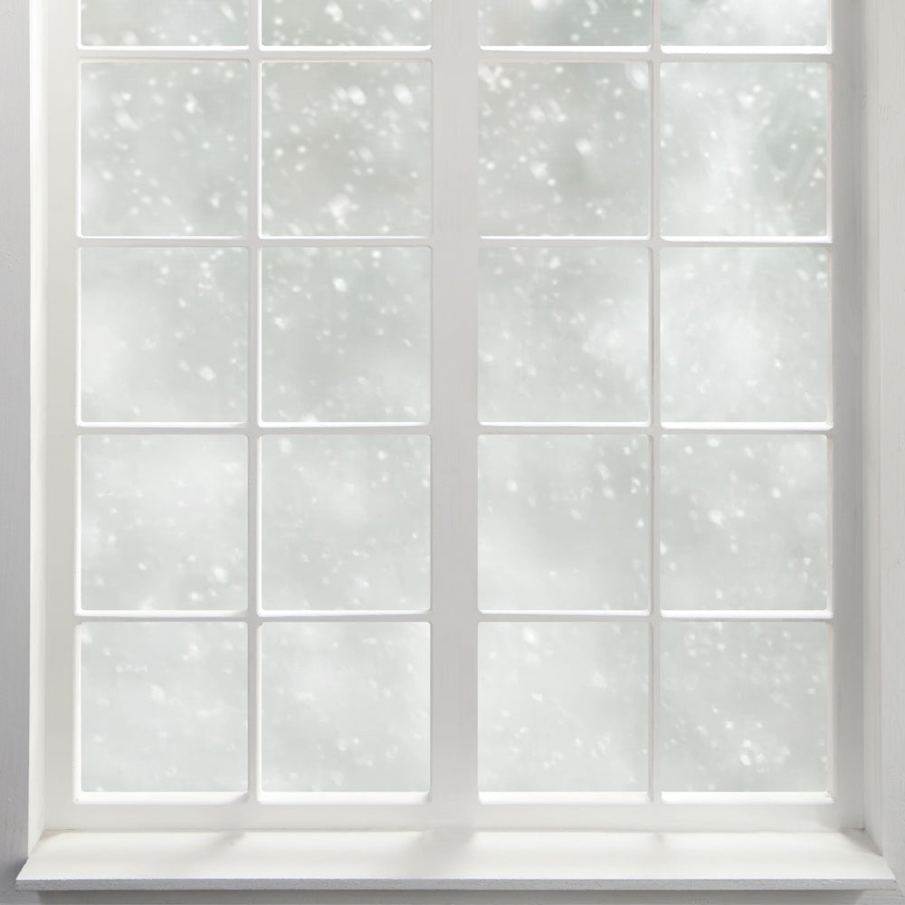 Powder View - Replica Surfaces
