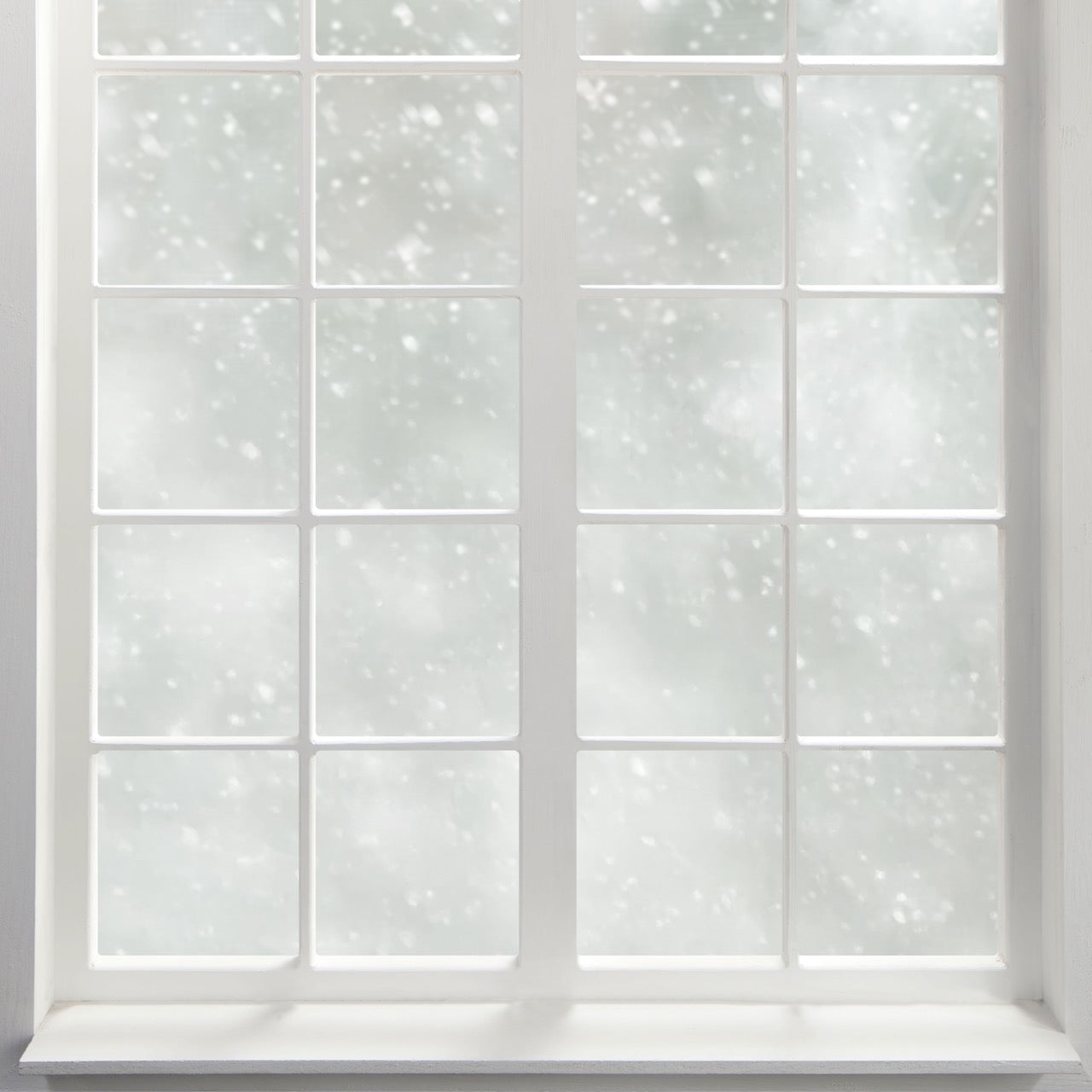 Powder View - Replica Surfaces