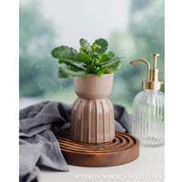Afternoon Showers | Cypress Beam (Double-Sided) - Replica Surfaces