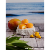 Low Tide | Cherished (Double-Sided) - Replica Surfaces