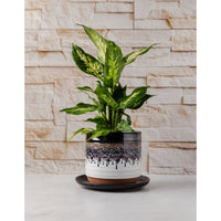 Fireplace | Ledgestone (Double-Sided) - Replica Surfaces