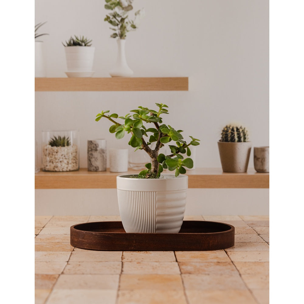 Floating - Replica Surfaces