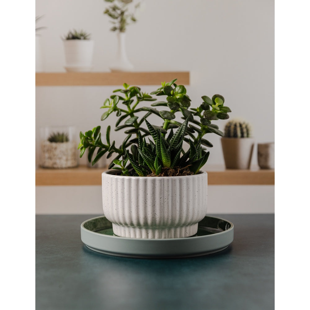 Floating - Replica Surfaces