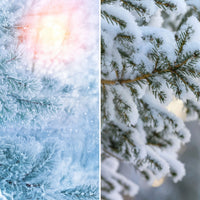 Crisp Morning | Frosted Branch (Double-Sided)