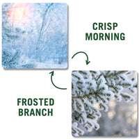 Crisp Morning | Frosted Branch (Double-Sided)