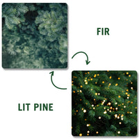 Fir | Lit Pine (Double-Sided)
