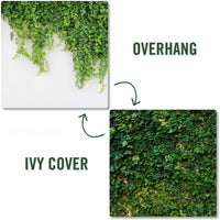 Overhang | Ivy Cover (Double-Sided) - Replica Surfaces