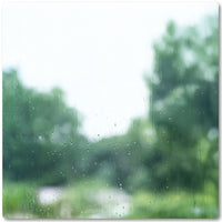 Afternoon Showers - Replica Surfaces