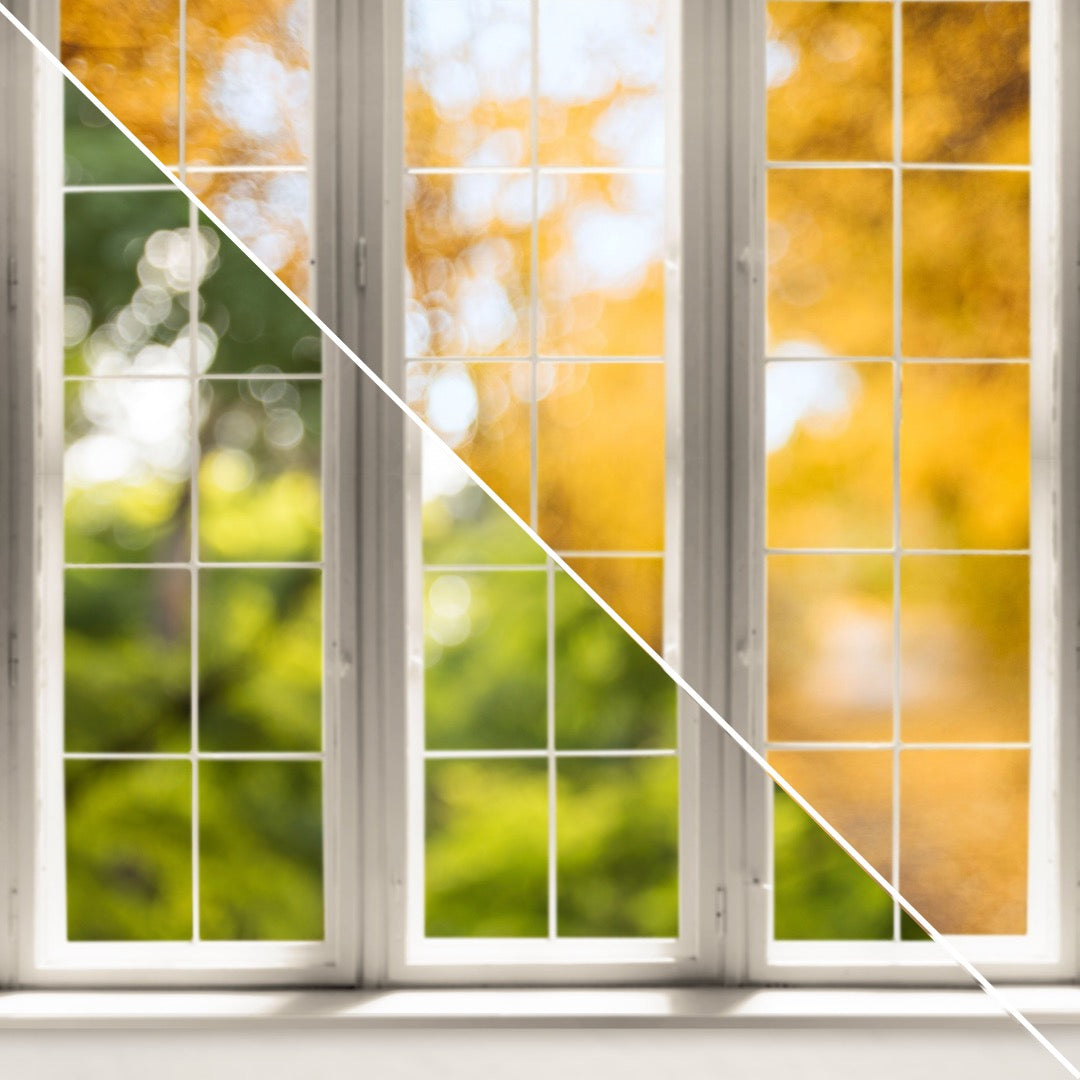 Lush View/Autumn View | Double-Sided Photography Backdrop & Surface ...