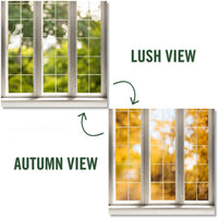 Lush View | Autumn View (Double-Sided) - Replica Surfaces