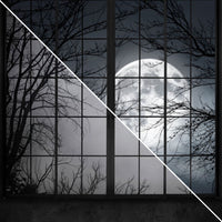 Ominous View | Eerie View (Double-Sided)
