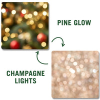 Pine Glow | Champagne Lights (Double-Sided)