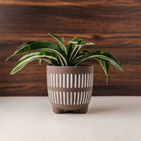 Pecan Wood | Espresso Oak (Double-Sided) - Replica Surfaces