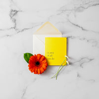 White Marble | Light Marble (Double-Sided) - Replica Surfaces