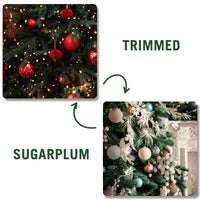 Trimmed | Sugarplum (Double-Sided)