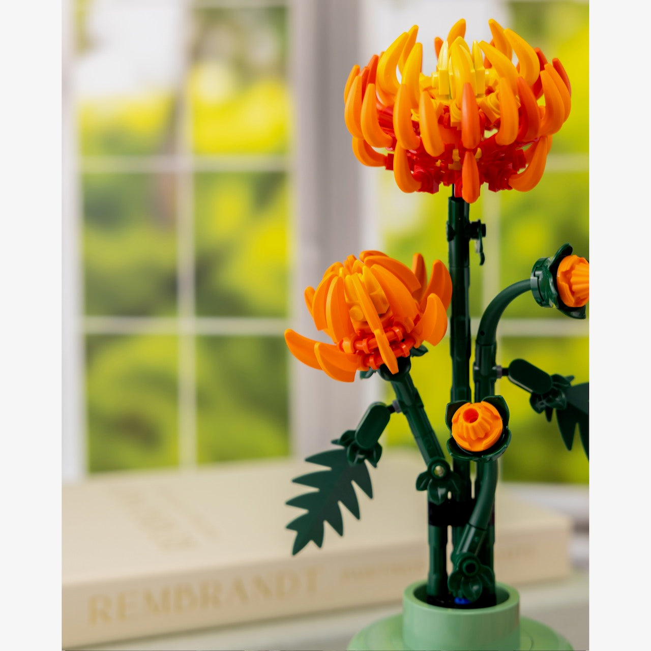 Lush View/Autumn View | Double-Sided Photography Backdrop