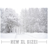 XL Wonderland (with Free Shipping) - Replica Surfaces