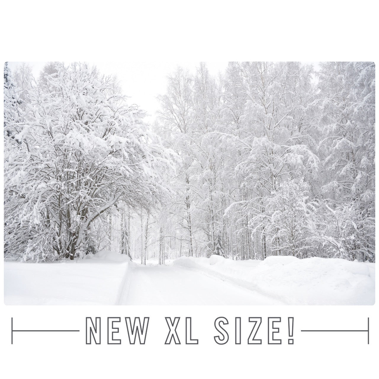 XL Wonderland (with Free Shipping) - Replica Surfaces
