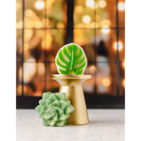 Wooded View | Forest Glow (Double-Sided)