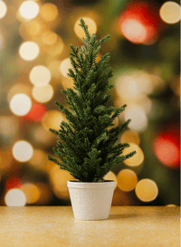 Pine Glow | Champagne Lights (Double-Sided)