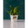 Deep Teal™ - Replica Surfaces