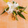 Peach Tile - Replica Surfaces