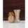 Cherry Wood - Replica Surfaces