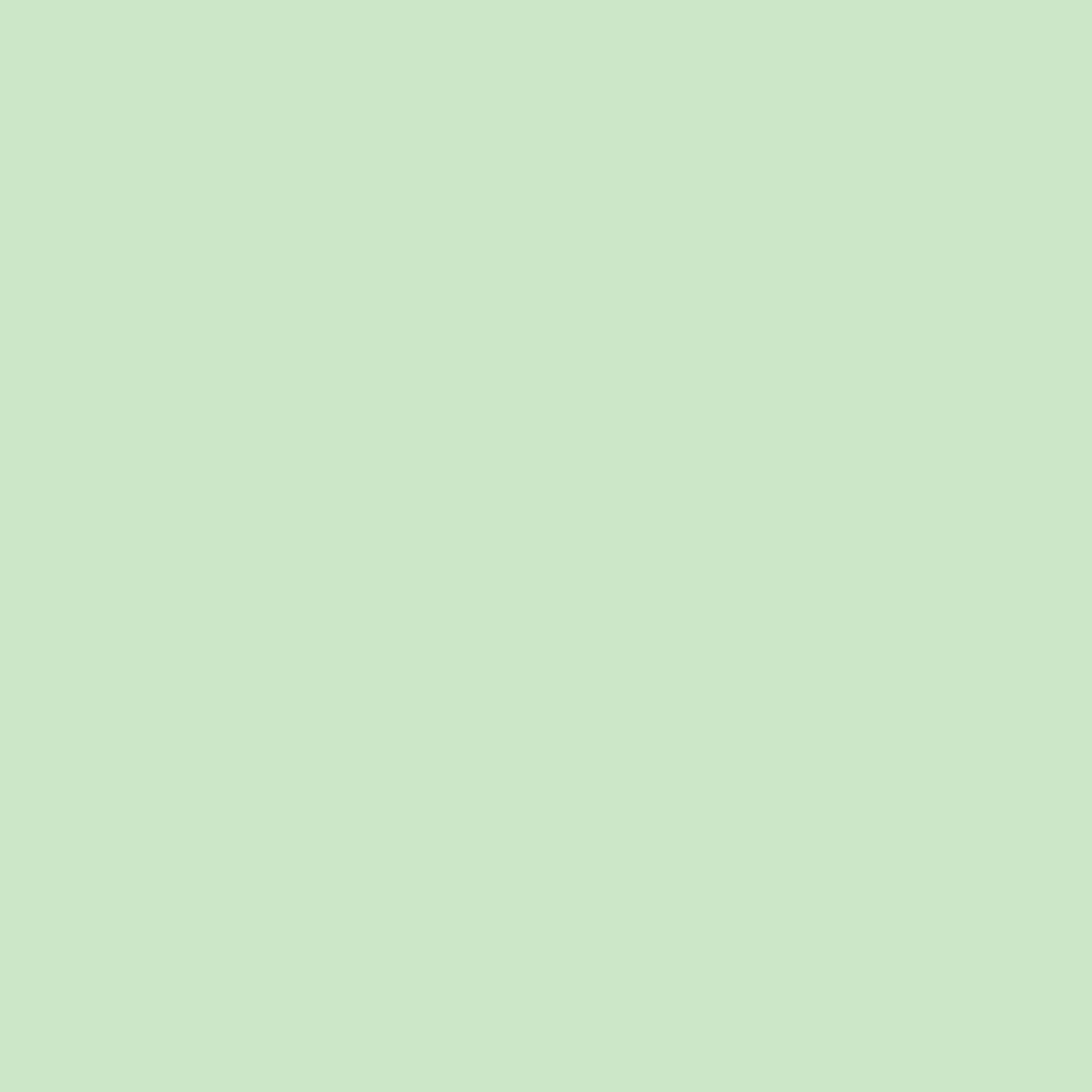 Mint Frosting™ - Replica Surfaces