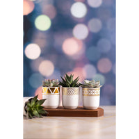 Evening Lights™ - Replica Surfaces