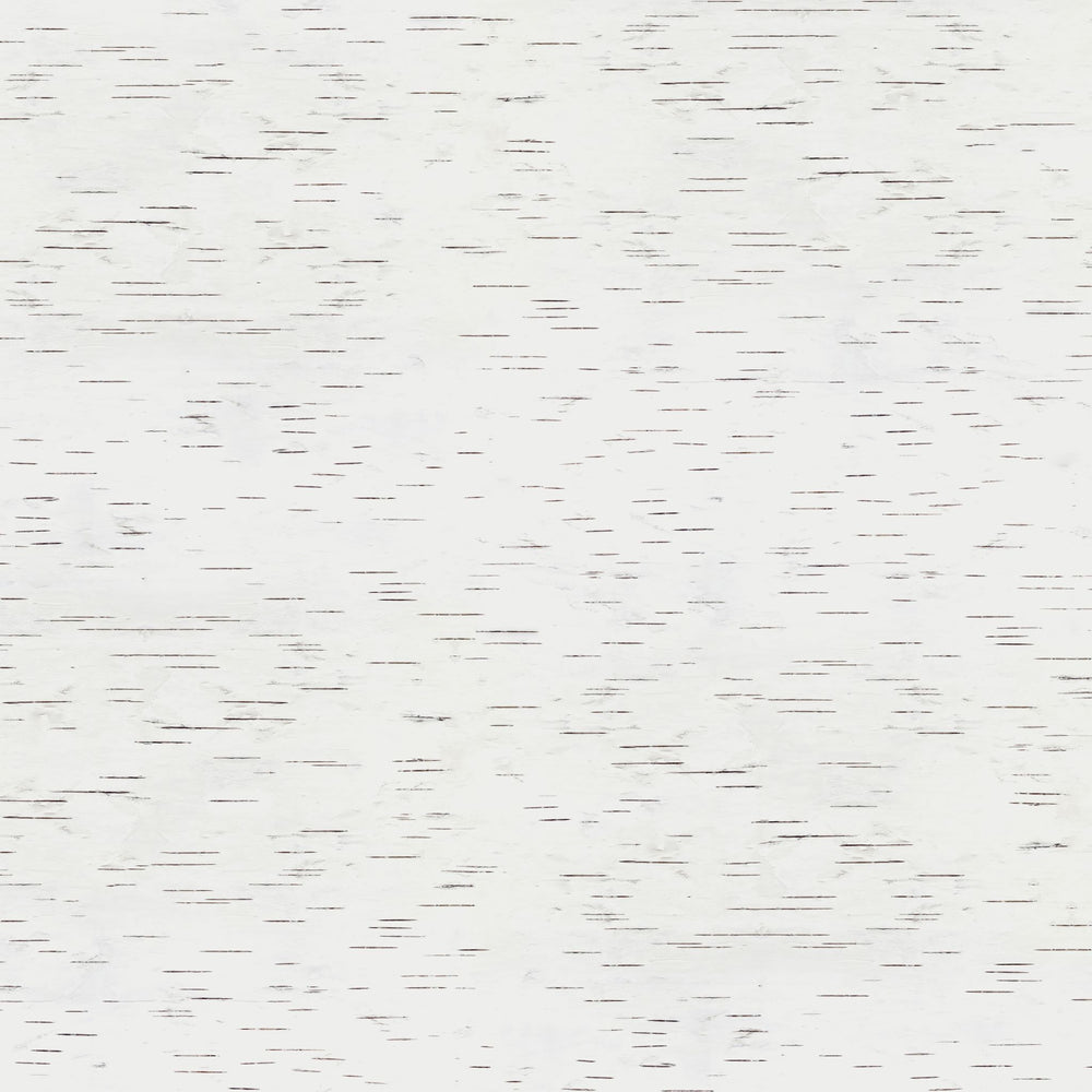 White Birch - Replica Surfaces