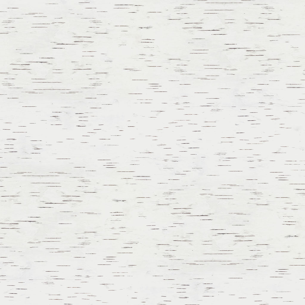 White Birch - Replica Surfaces