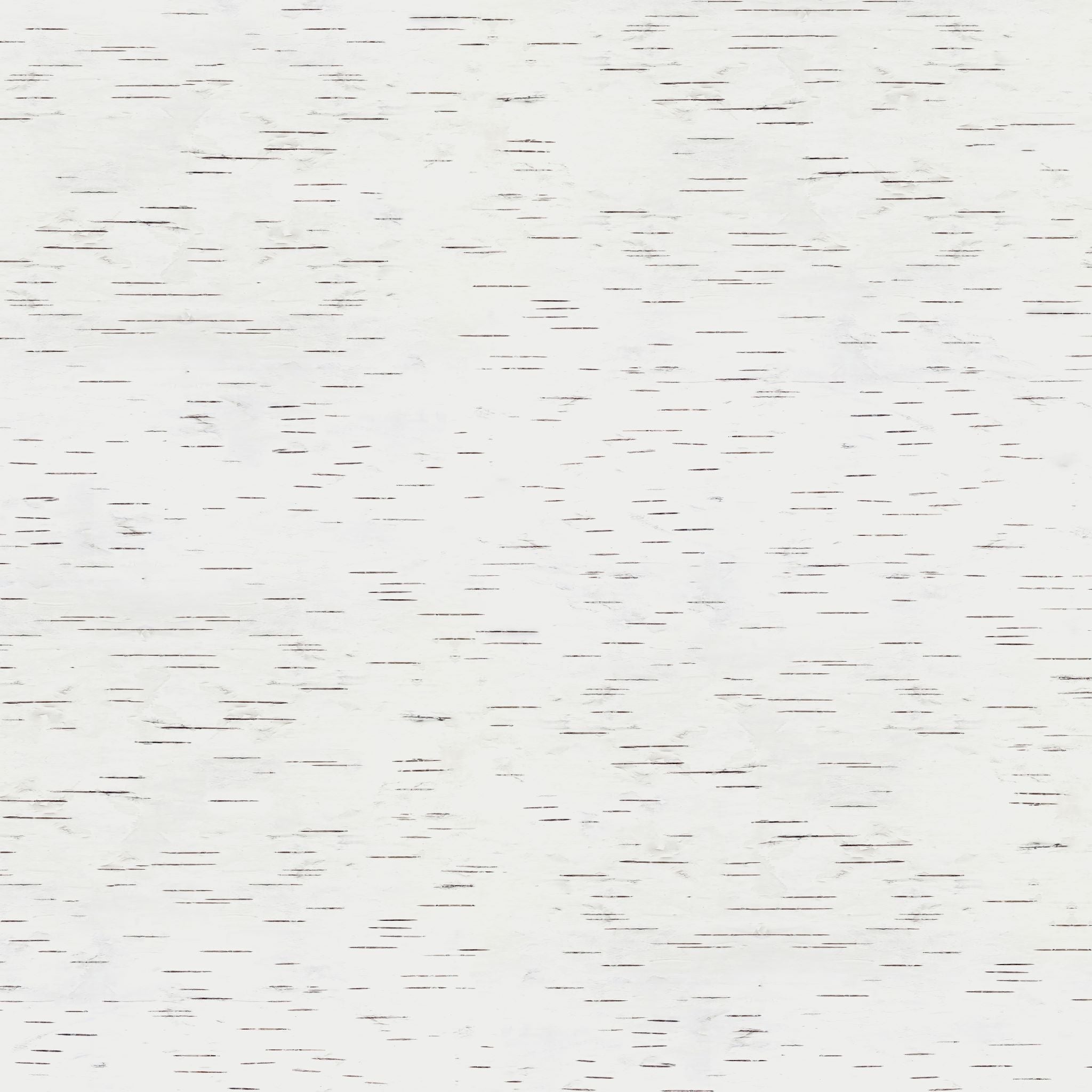 White Birch - Replica Surfaces